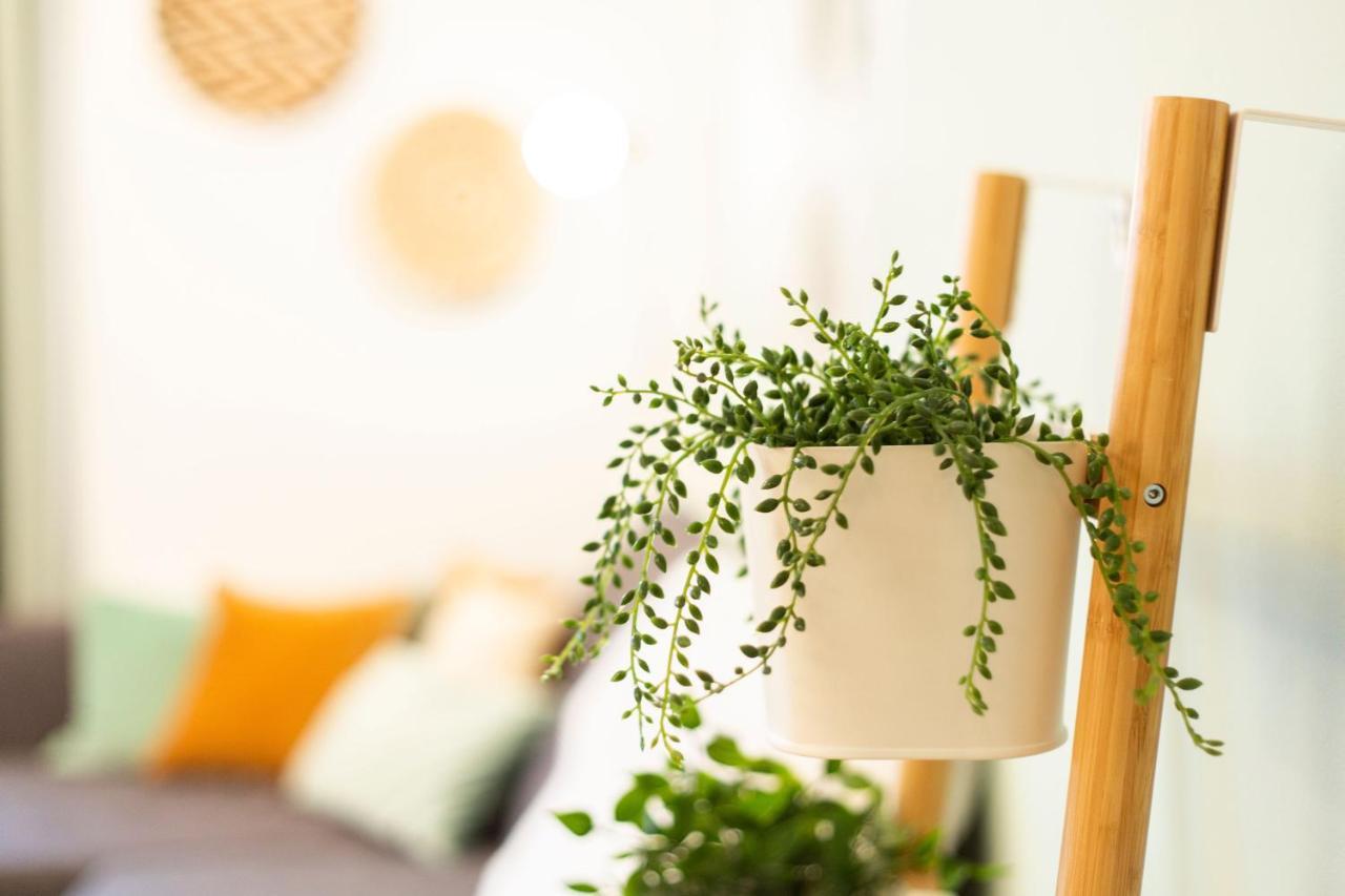 Appartement & Cozy - 15 Min To Center *